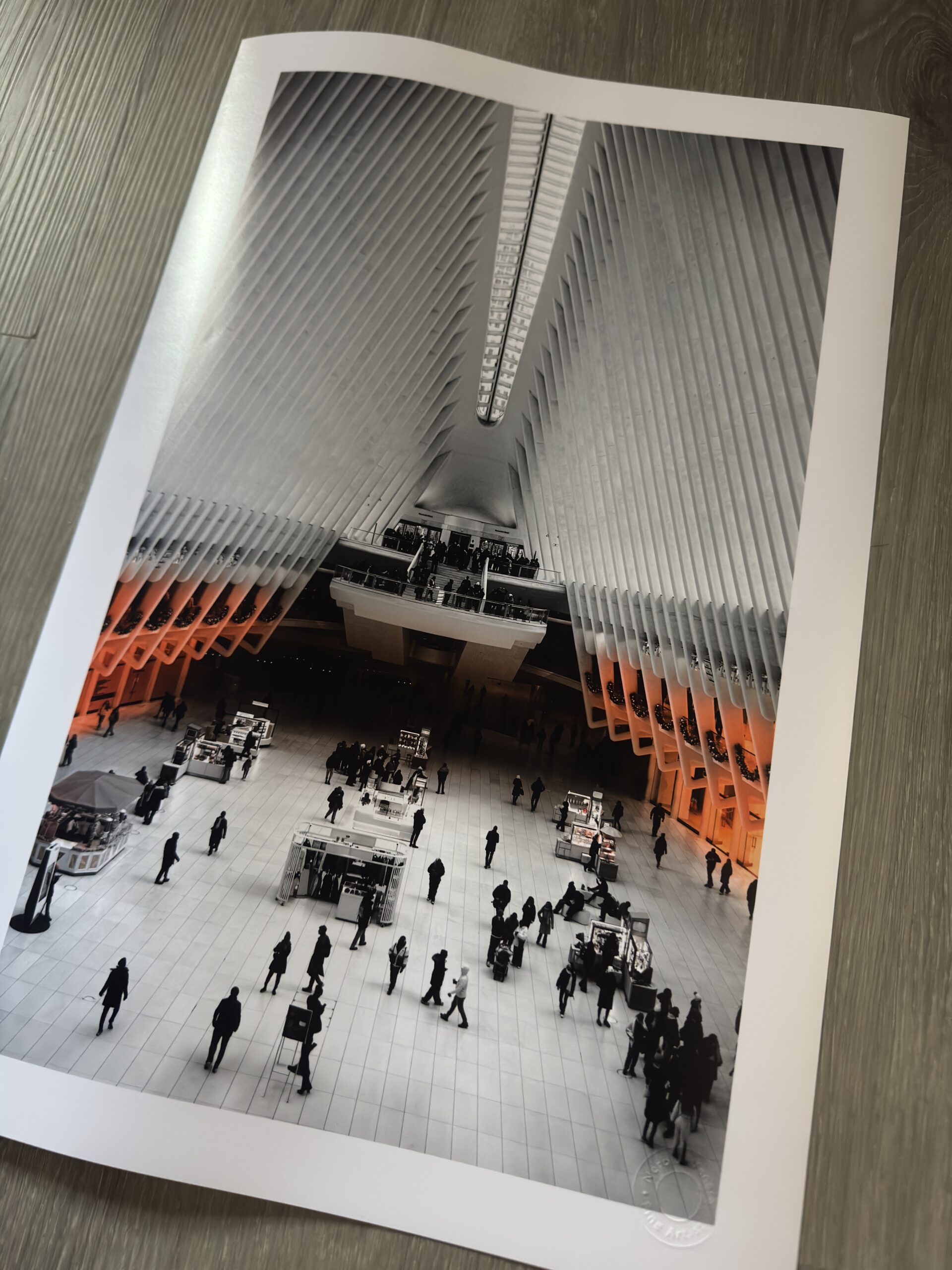 Cathedral of Light - Image 2
