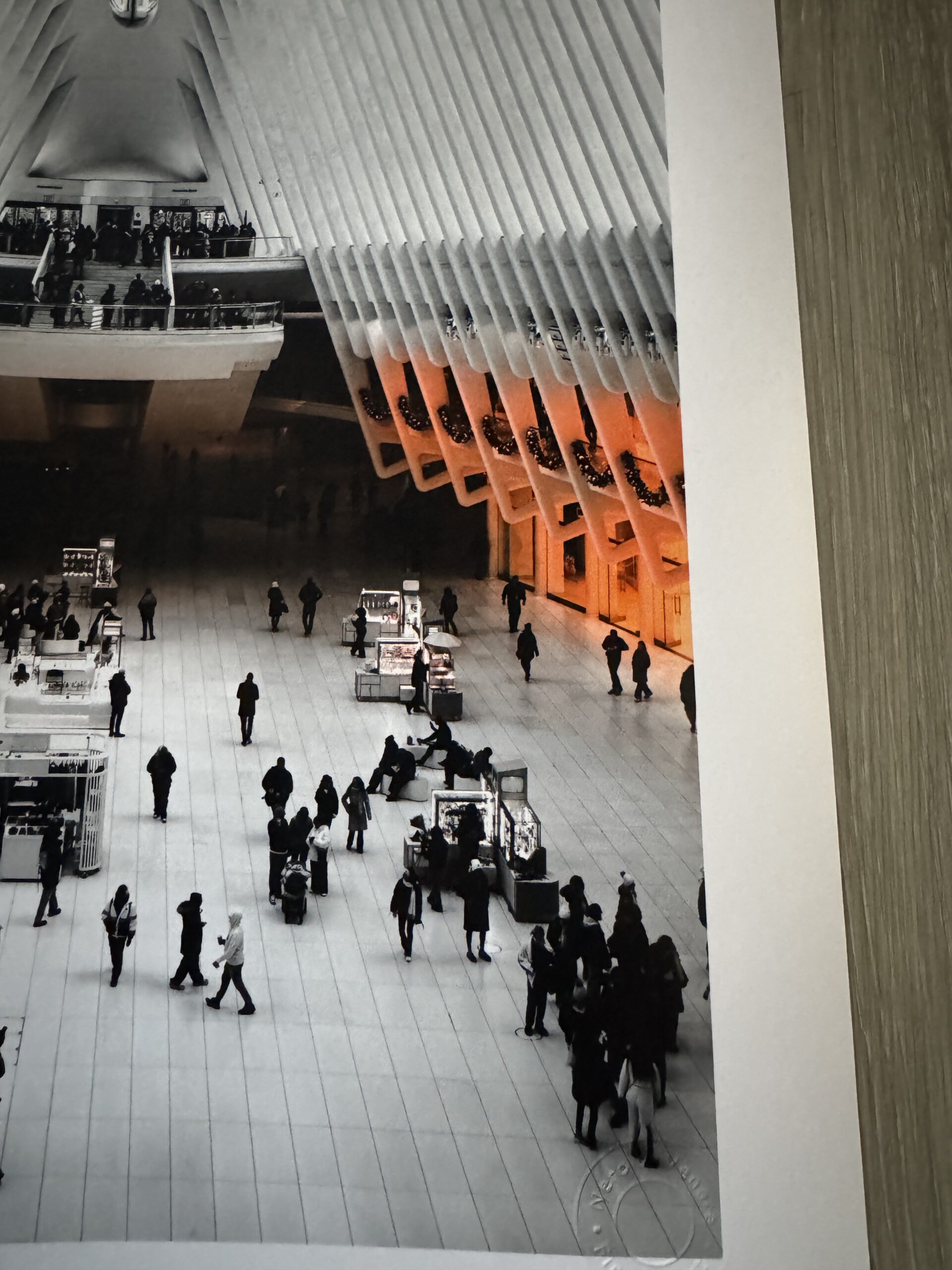 Cathedral of Light - Image 6