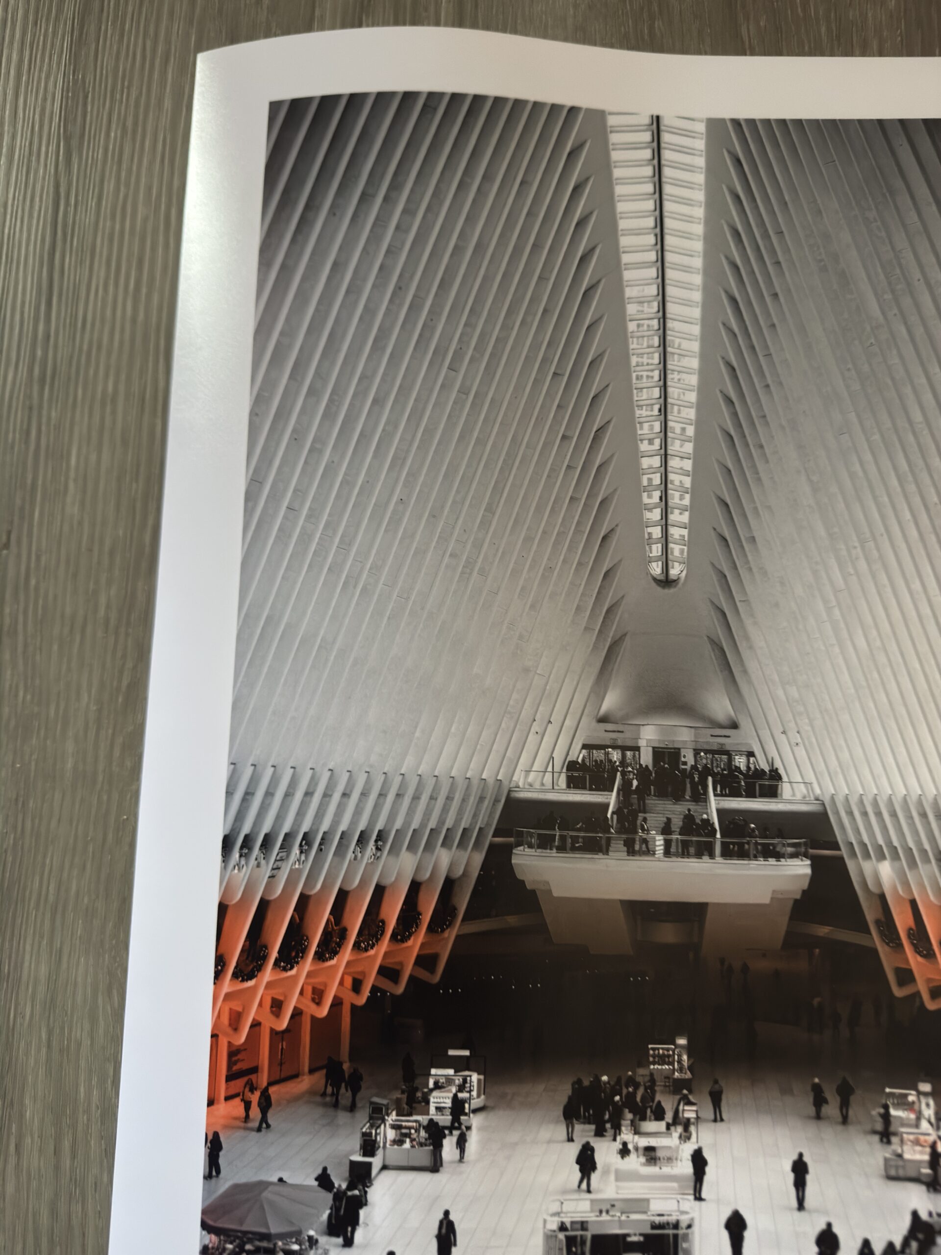 Cathedral of Light - Image 5