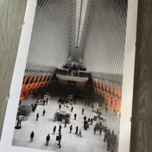 Cathedral of Light