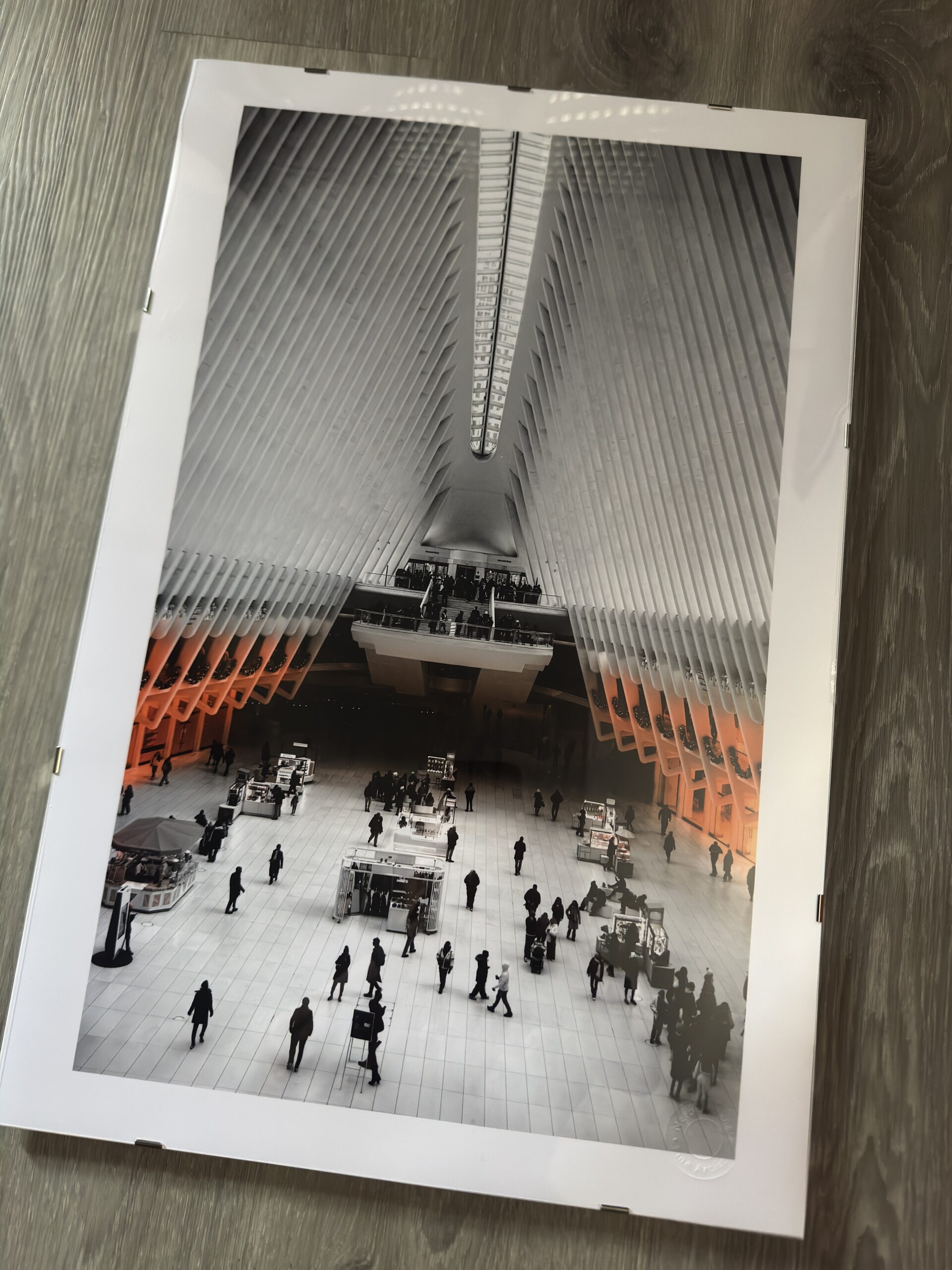 Cathedral of Light